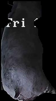 Crop