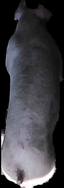 Crop