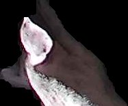 Crop