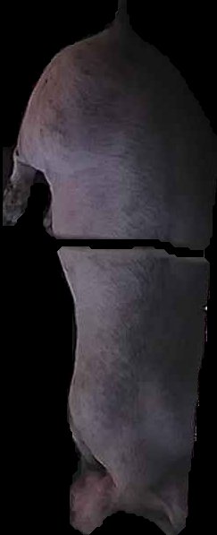 Crop