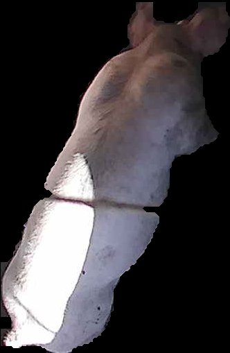 Crop