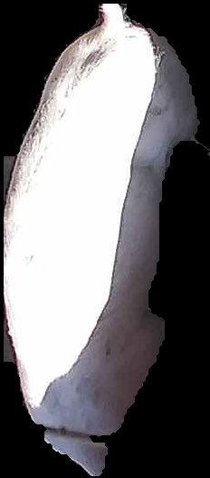 Crop