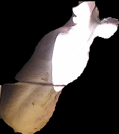 Crop