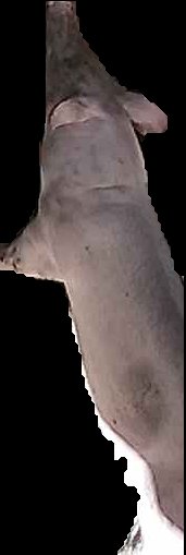 Crop
