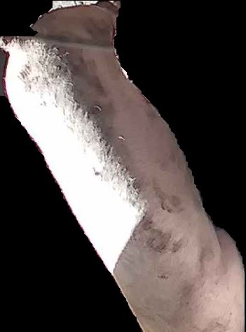 Crop
