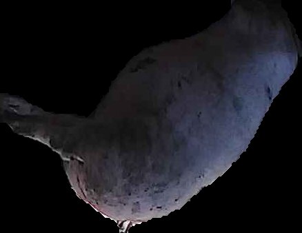 Crop
