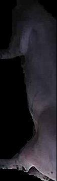 Crop