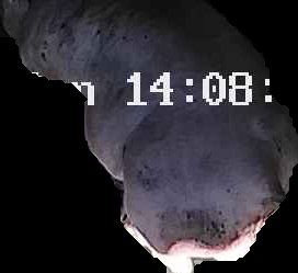 Crop