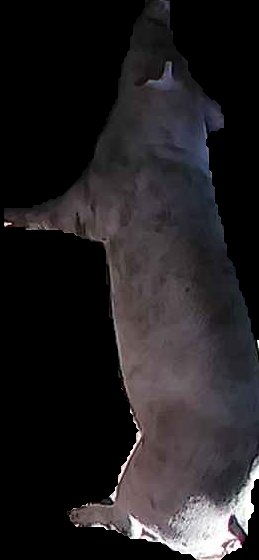 Crop