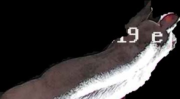 Crop