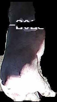 Crop