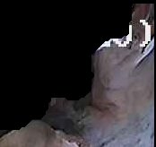 Crop