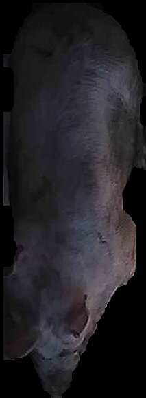 Crop