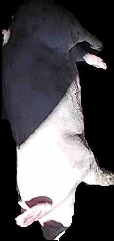 Crop
