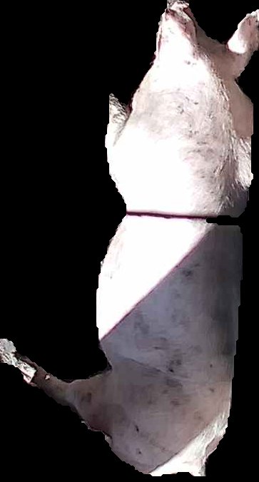 Crop