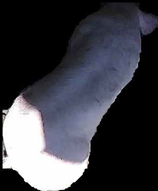Crop