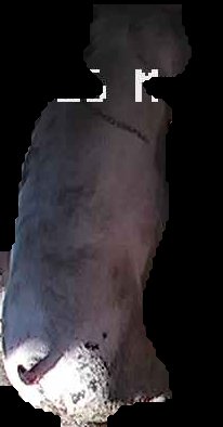 Crop