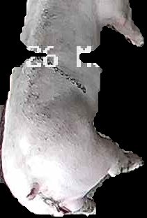 Crop