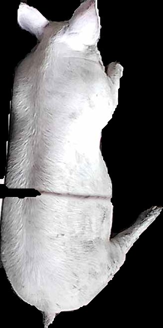 Crop