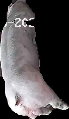 Crop