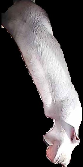 Crop
