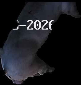 Crop
