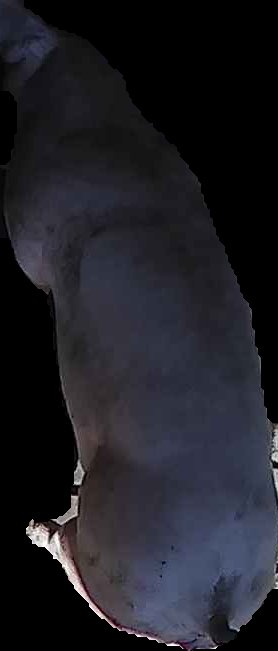 Crop