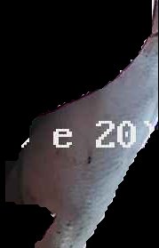 Crop