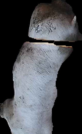 Crop