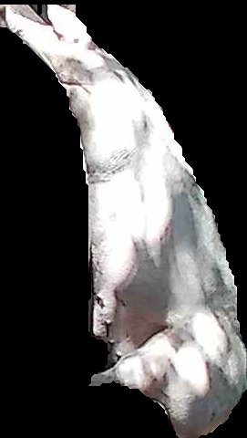 Crop