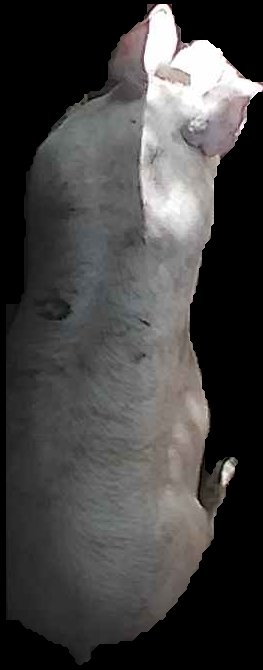 Crop