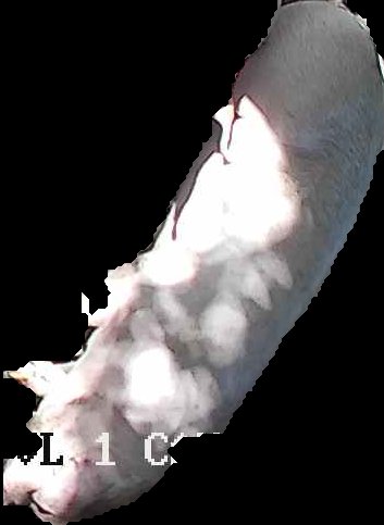 Crop