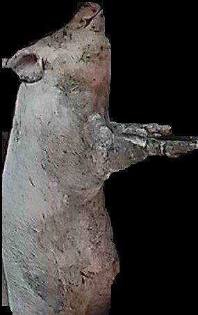 Crop