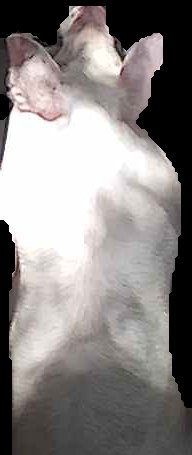 Crop