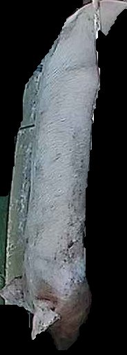 Crop
