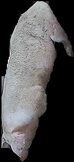 Crop