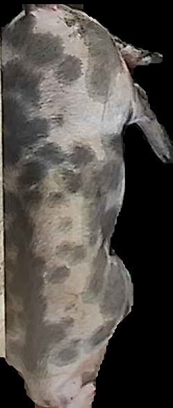 Crop