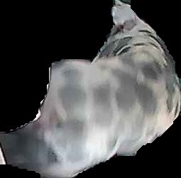 Crop