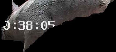 Crop