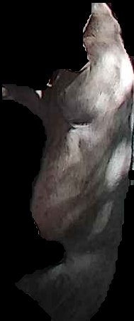 Crop