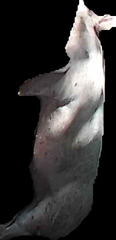 Crop