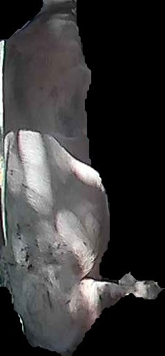 Crop