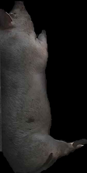Crop