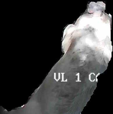 Crop