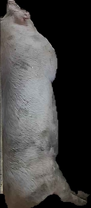 Crop