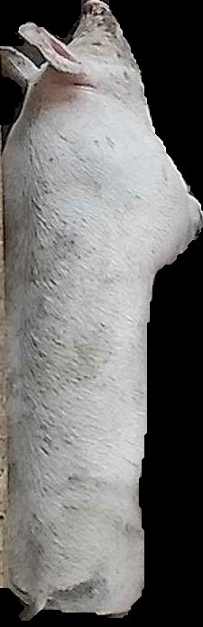 Crop