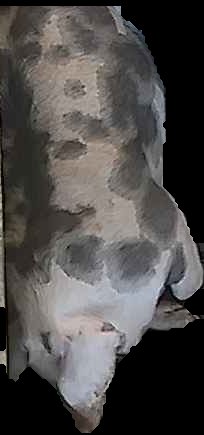 Crop