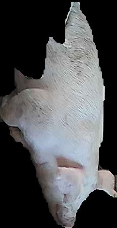 Crop