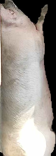 Crop