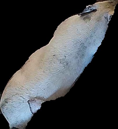 Crop